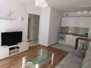 Apartament Rumianek, Rumia